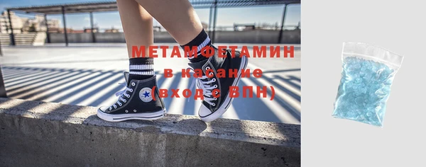 ПСИЛОЦИБИНОВЫЕ ГРИБЫ Вяземский