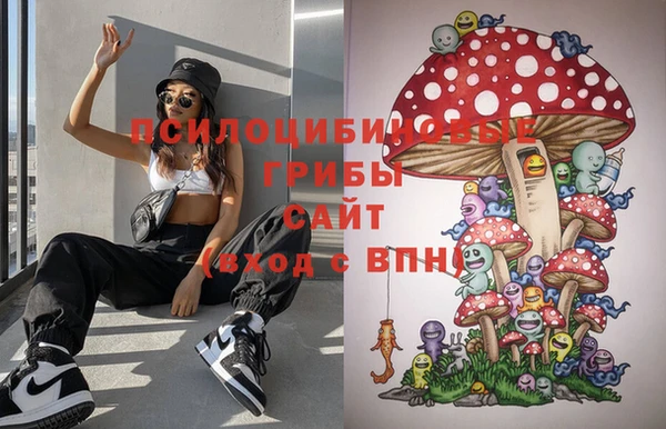 мдпв Володарск