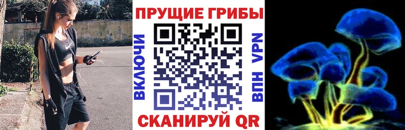 Галлюциногенные грибы Cubensis  мориарти какой сайт  Верхний Уфалей 